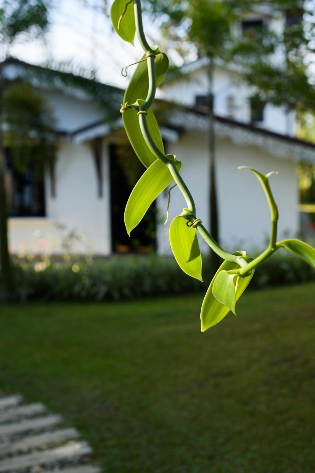 Roots Retreat Hotel Unawatuna Exterior photo
